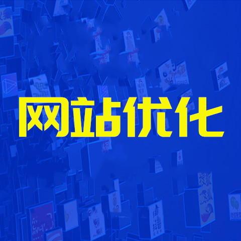 <strong>网站优化</strong> <strong>网站优化</strong>